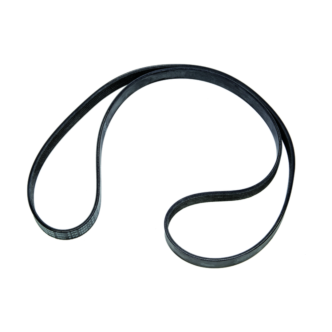 Serpentinenriemen Mercury MerCruiser · Original 8M0093513